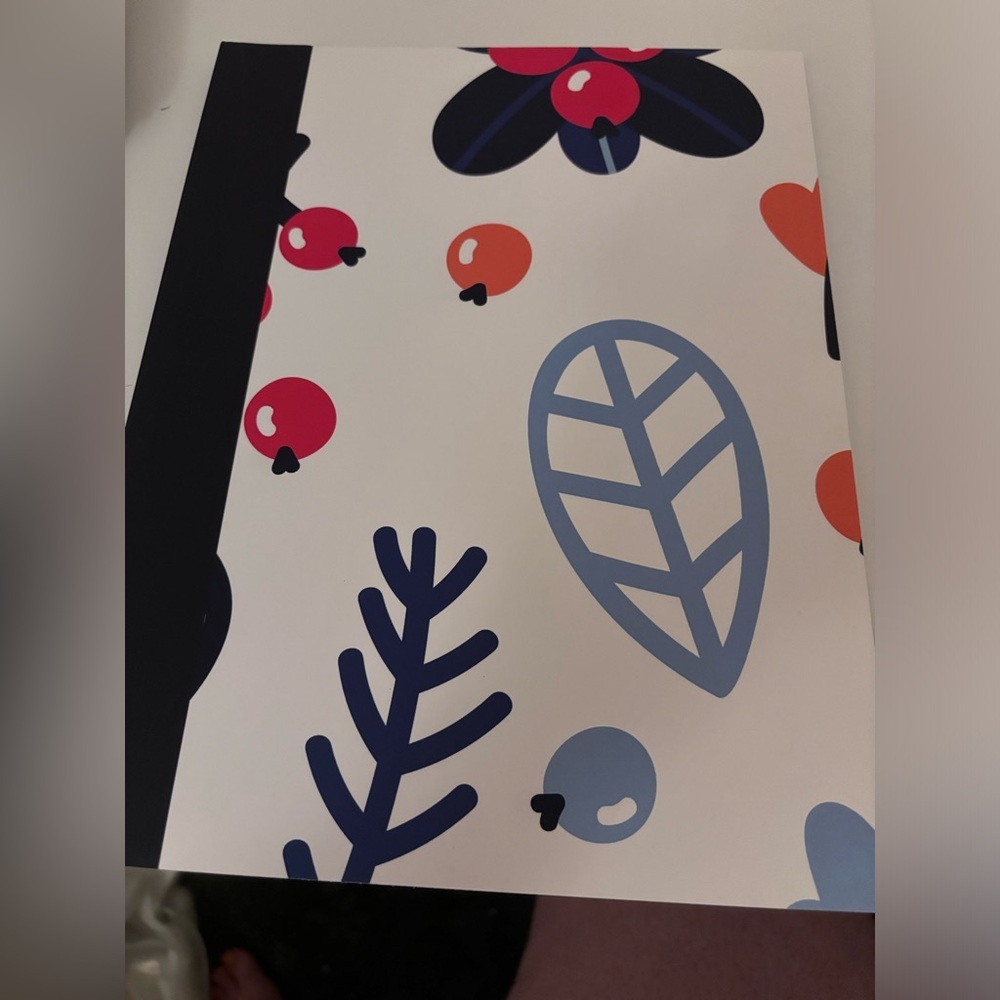 Bundle of 3 notebooks​
